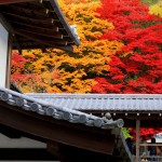 秋季之日本