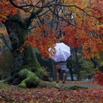 秋季之日本