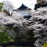 春季之日本