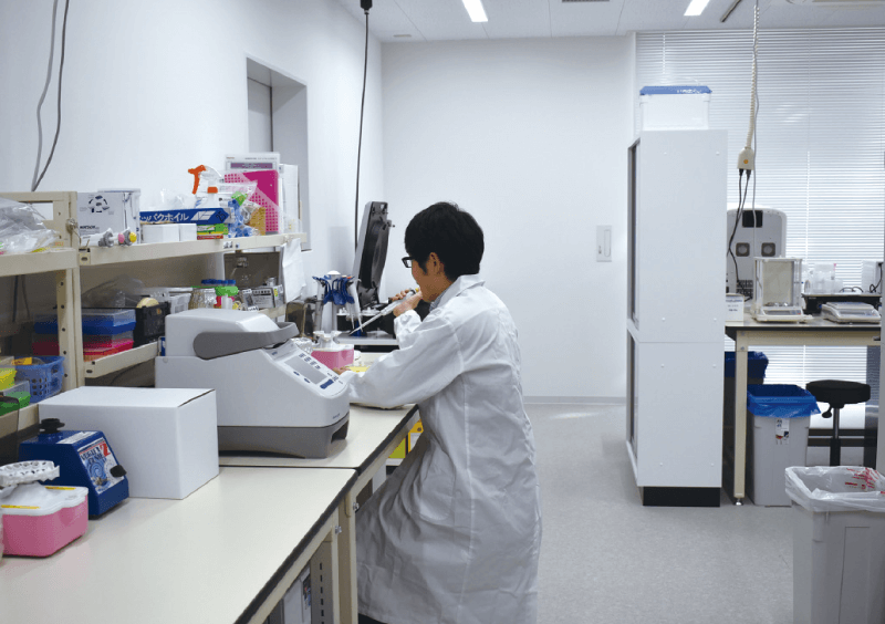 神户大学初创企业利用“无需剪切的基因组编辑”技术开展业务