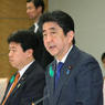 日本计划2020年将政府研究开发投资在GDP中的占比增至1%