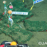 东京大学等证实生物降解塑料在深海也能被微生物降解