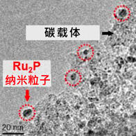 大阪大学成功开发具有高抗硫性的新型催化剂，有望消除催化剂毒性影响