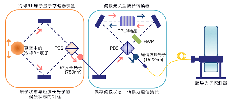 冷却原子量子存储器的光纤通信