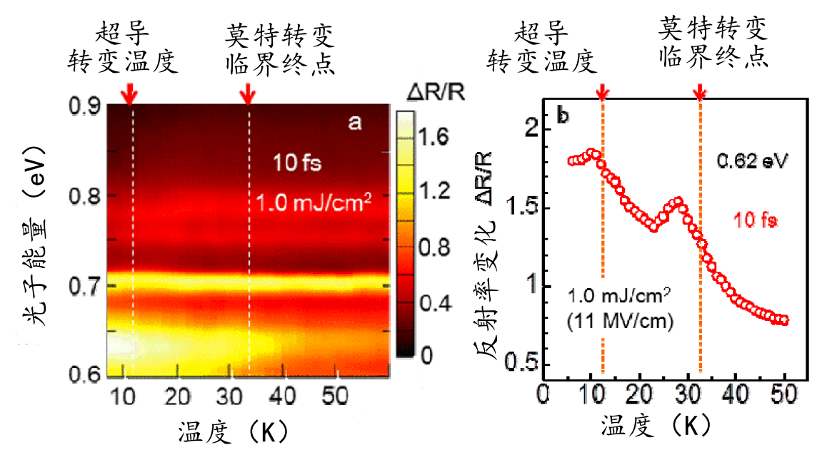 日本发现有机超导的光放大现象，利用激光原理判明超导机制