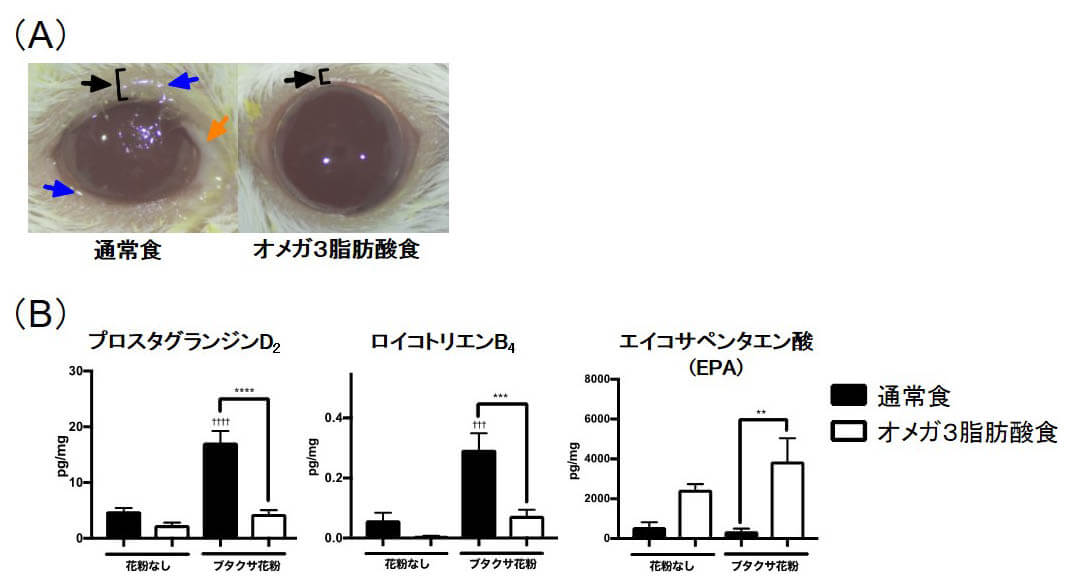 OMEGA-3脂肪酸对过敏性结膜炎的缓解效果