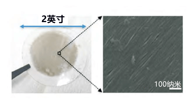 日本首都大学东京发现单层碳纳米管薄膜的特异性光吸收特性