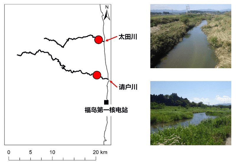 福岛核电站周边河流中的铯浓度逐渐减少