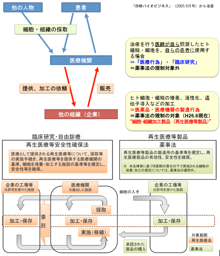 细胞治疗、再生医疗，中日监管大不同（下）