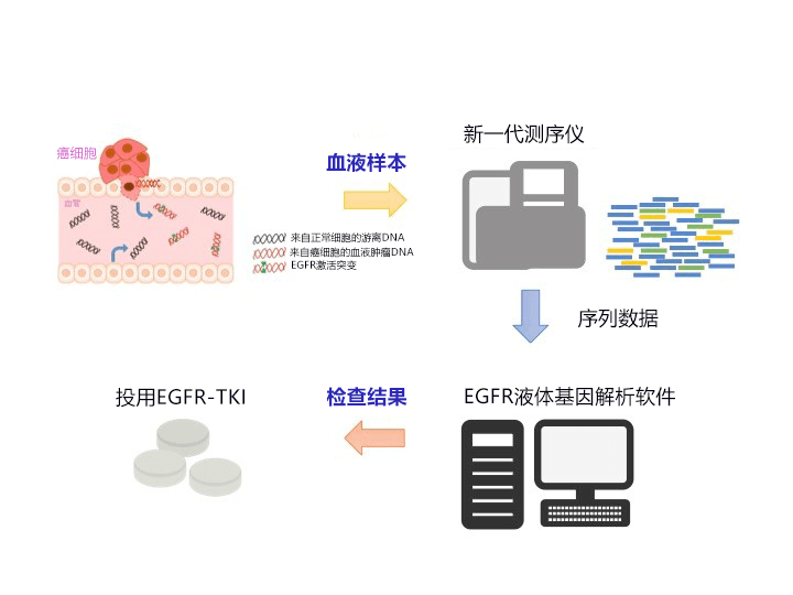 日本开发出验血查肺癌基因的高灵敏度技术