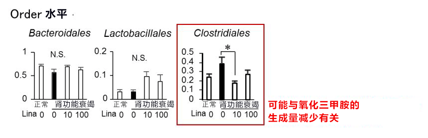 日本东北大学等发现便秘药利那洛肽对肾病也有疗效