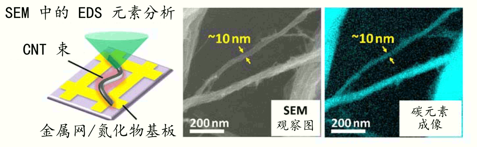 提高空间分辨率，用SEM对碳纳米管表面官能基均匀成像
