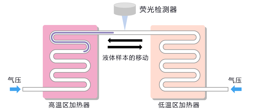 新型肺炎 多管齐下,日本正在推进开发的多种快速诊断技术大汇总