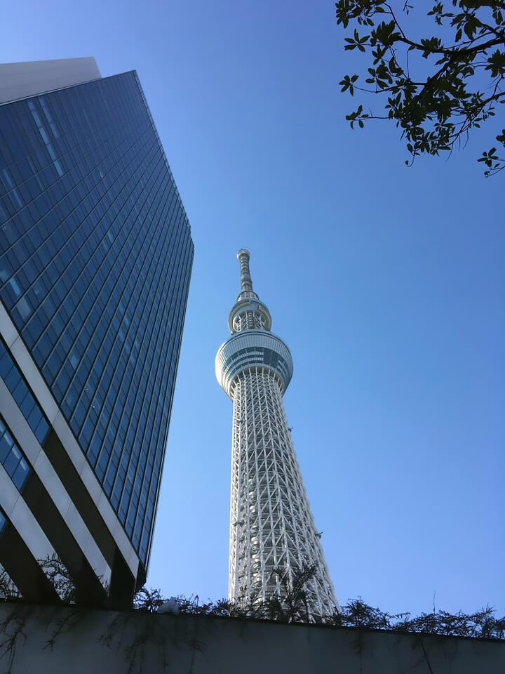 东京晴空塔（右侧）