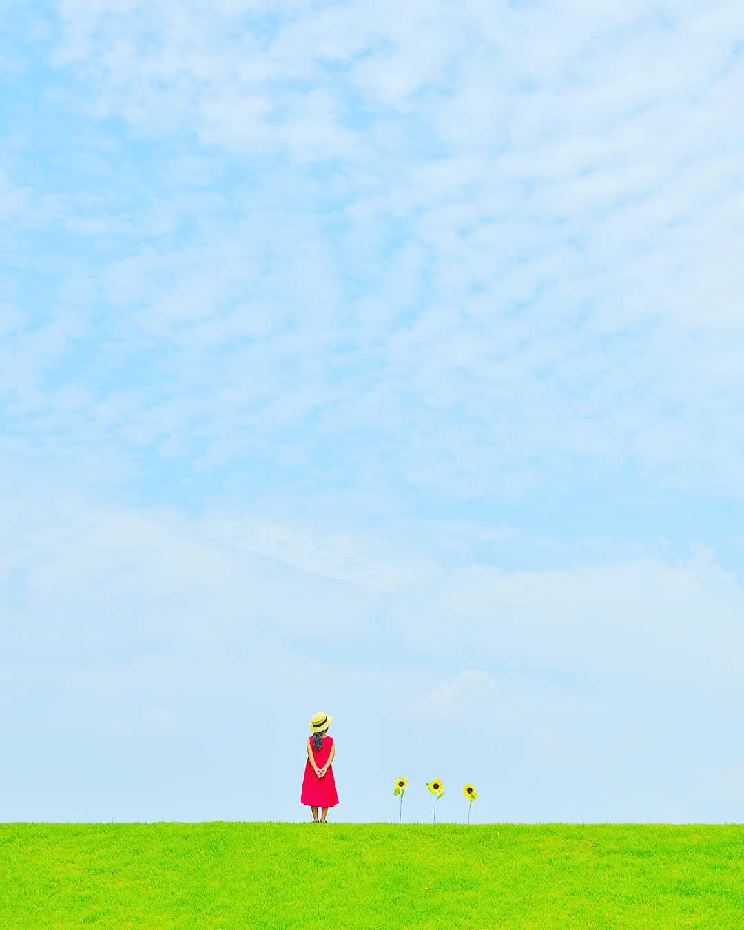 红衣少女与向日葵