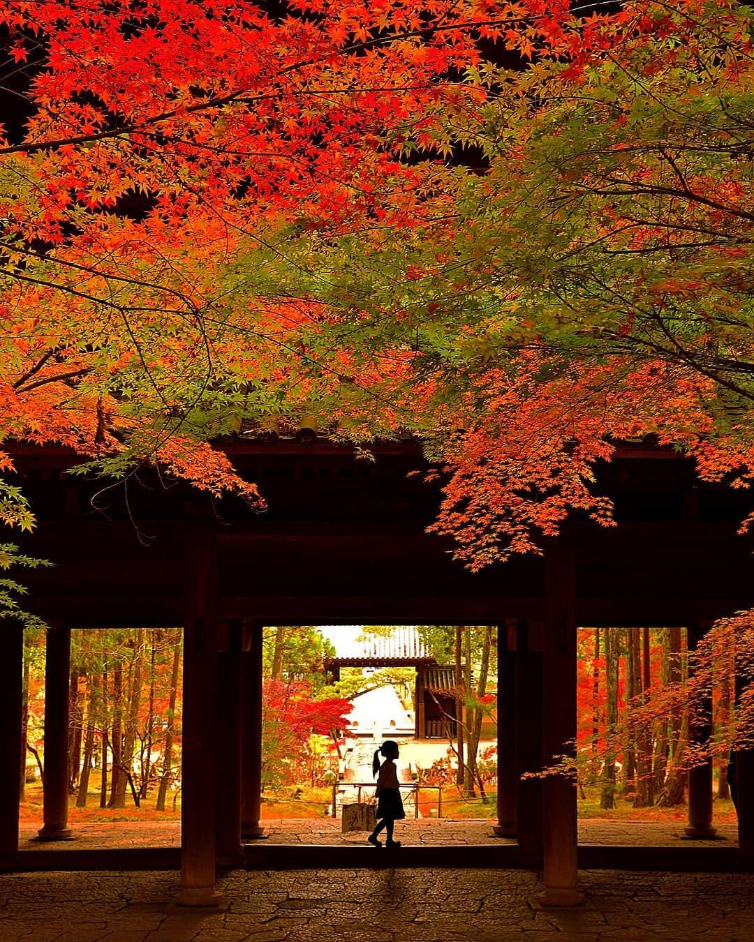 日本的秋天