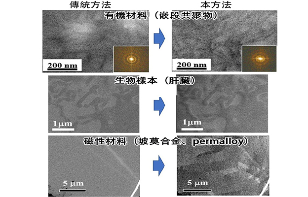 东京科学大学开发出高对比度电子显微镜成像技术，大幅提升生物样本观察能力