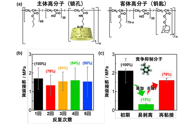 大阪大学利用中子阐明界面结构，开发出“粘着牢固但可剥离”的胶粘剂