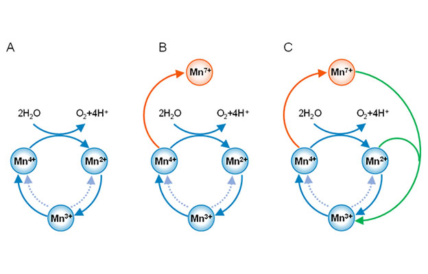 理研：成功研制出耐电压波动的氧化锰水电解催化剂，有望助力变动较大的自然能源制氢