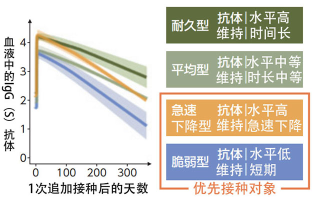 新冠疫苗抗体效价发现三类特征群体，有助于优化接种策略，抑制感染扩散与重症化