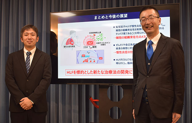 千叶大学等确定“慢性炎症关键蛋白质”，阐明免疫细胞的参与机制