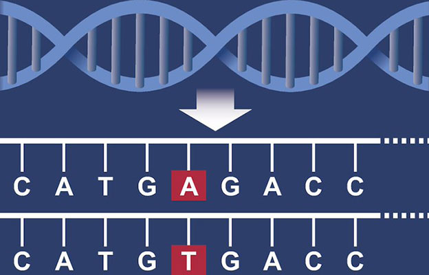 九州大学初创企业与京都大学iPS研究财团签订基因组编辑联合研究协议