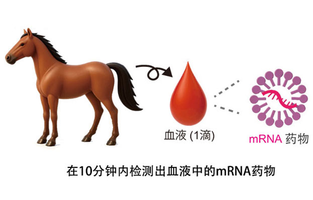 理研开发出全球首个mRNA基因类兴奋剂检测技术，只用一滴血10分钟内即可检出mRNA药物
