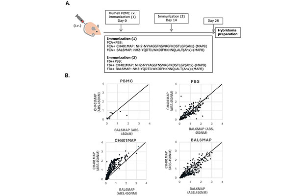 东海大学开发出新一代小鼠模型，产生单个IgG抗体并成功再现不同人类免疫反应