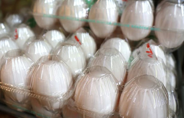 日本成育医疗中心：早期摄入鸡蛋，过敏病例并未见显著减少