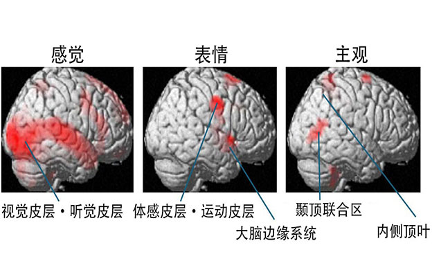 理研：不是“因快乐而笑”而是“因为笑所以快乐”