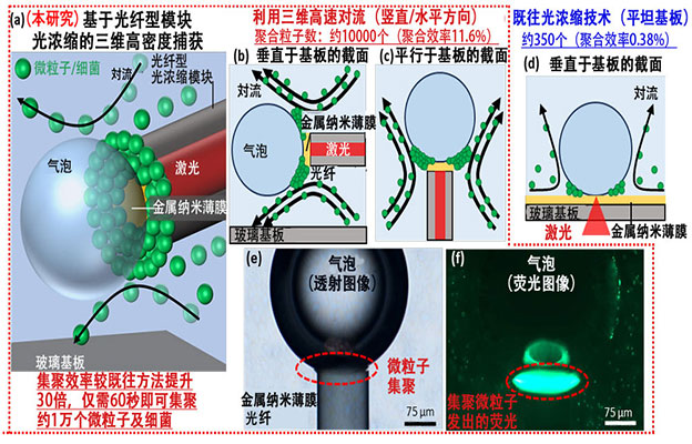 大阪公立大学研发出以光纤聚集微粒子的三维捕获技术