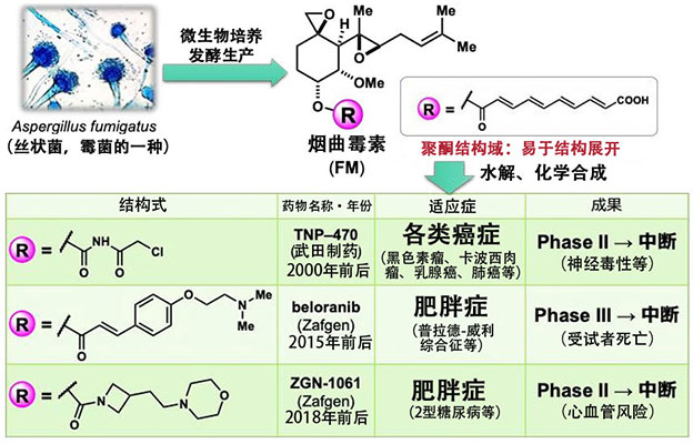 名古屋大学等将此前无法成药的天然化合物转化为阿米巴痢疾药物，确立利用微生物的新型合成法