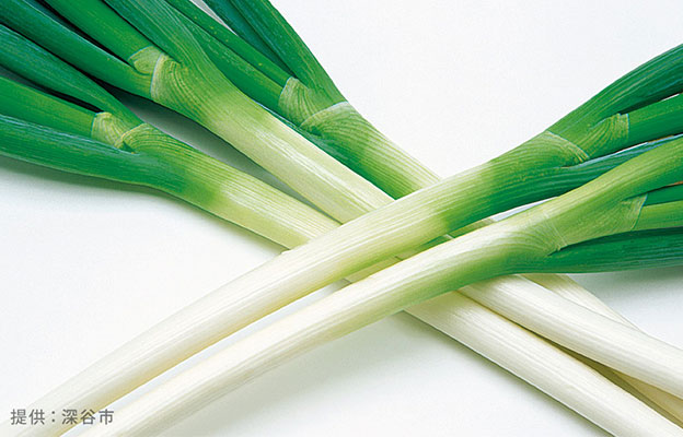 埼玉工业大学用深谷葱制造塑料产品，升级废弃物回收提振农户活力