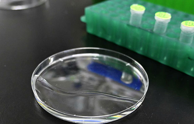 日本团队发现能加快生物钟的化合物 有望消除时差反应