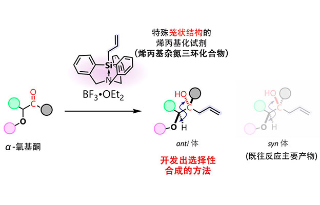 大阪大学利用笼状结构新型试剂，成功控制分子的空间排列