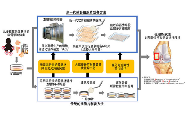 东海大学确立软骨细胞片大量生产技术，为膝骨关节炎“保关节治疗”开辟道路
