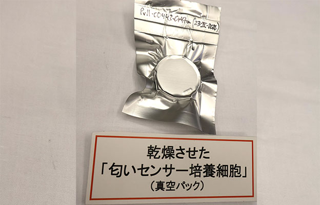 日本农研机构成功制备出可常温干燥保存的气味传感器培养细胞