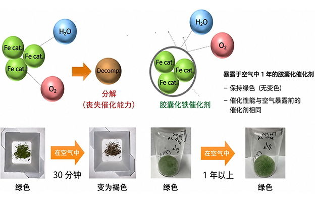 北里大学与富士高分子工业：提升机硅固化用铁催化剂空气耐受性的胶囊化技术，为全球首创