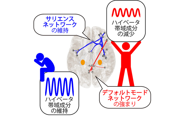 高知工科大学：明确大脑活动峰值时间点，适应压力的关键在压力出现“1小时后”