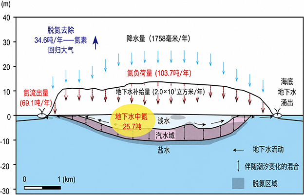 熊本大与地球研：地下淡水层可净化约三分之一地表氮污染，定量评估自然净化能力