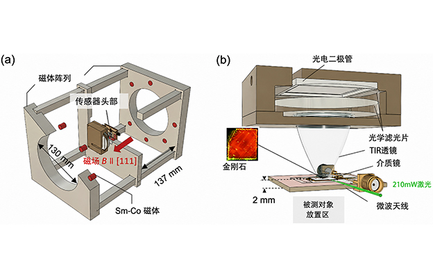东京科学大学等利用金刚石量子传感器实现微弱磁场的近距离高灵敏度测量