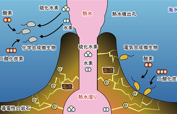 深海热液喷口附近的微生物通过“电合成”而非“光合作用”实现增殖