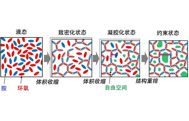 九州大学发现凝胶化后的粘合剂仍可发生结构重排，有望成为汽车与飞机轻量化的新型粘接技术