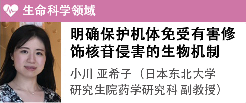 小川 亚希子