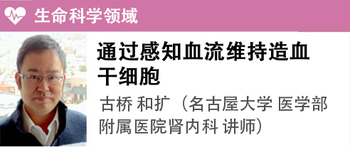 古桥 和扩