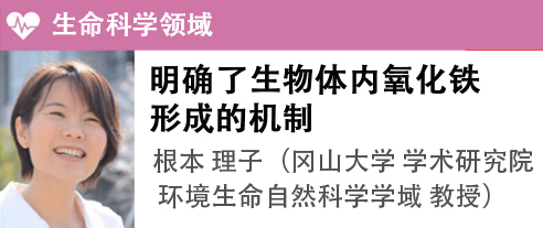 根本 理子