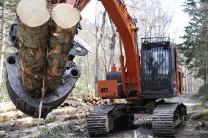 使用高性能的林业机械提高了工作效率。