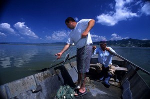在多瑙河捕鱼的塞尔维亚共和国渔民。地球环境基金的环保项目为多瑙河流域的众多国家带来了极大的利益。（VICTOR MELO, UNOPS/GEF, 2009  提供）