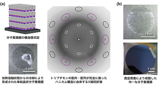 东京工业大学研究团队成功制成大面积有机薄膜