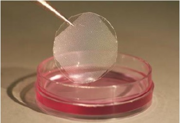 日本开发出可测量培养细胞氧气消耗量的薄片型传感器